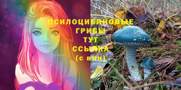 марки lsd Алексеевка