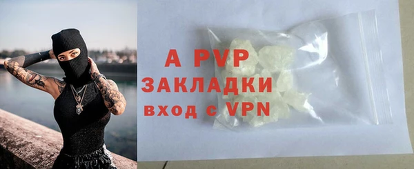 СК Алексин