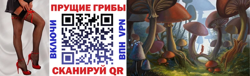 Псилоцибиновые грибы ЛСД  OMG вход  Данков 